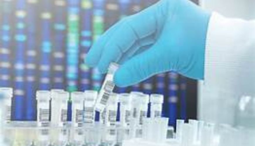 Insights into the European In-Vitro Diagnostics Market: 2023 Overview