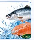 Aquaculture market dashboard preview