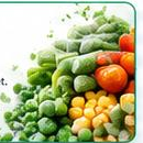 Frozen food market dashboard preview